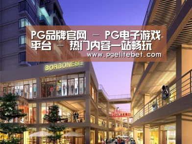 案例展示一(图1)