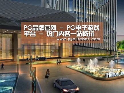 案例展示二(图1)