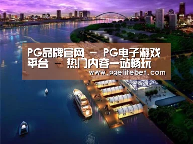 案例展示八