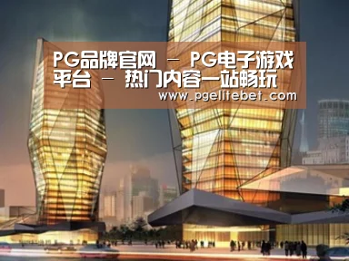案例展示三