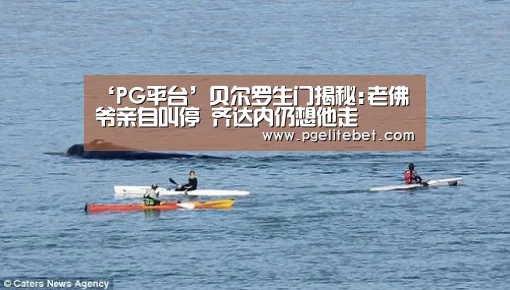 PG游戏
